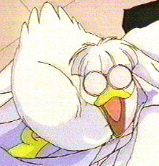 Mousse in duck form...Kawaii!